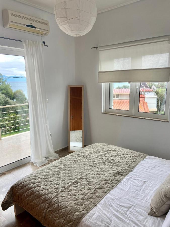 Villa Delfini 克拉尼 外观 照片