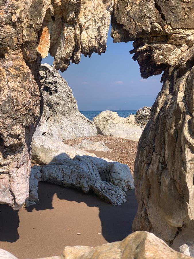 Villa Delfini 克拉尼 外观 照片