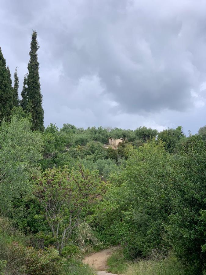 Villa Delfini 克拉尼 外观 照片