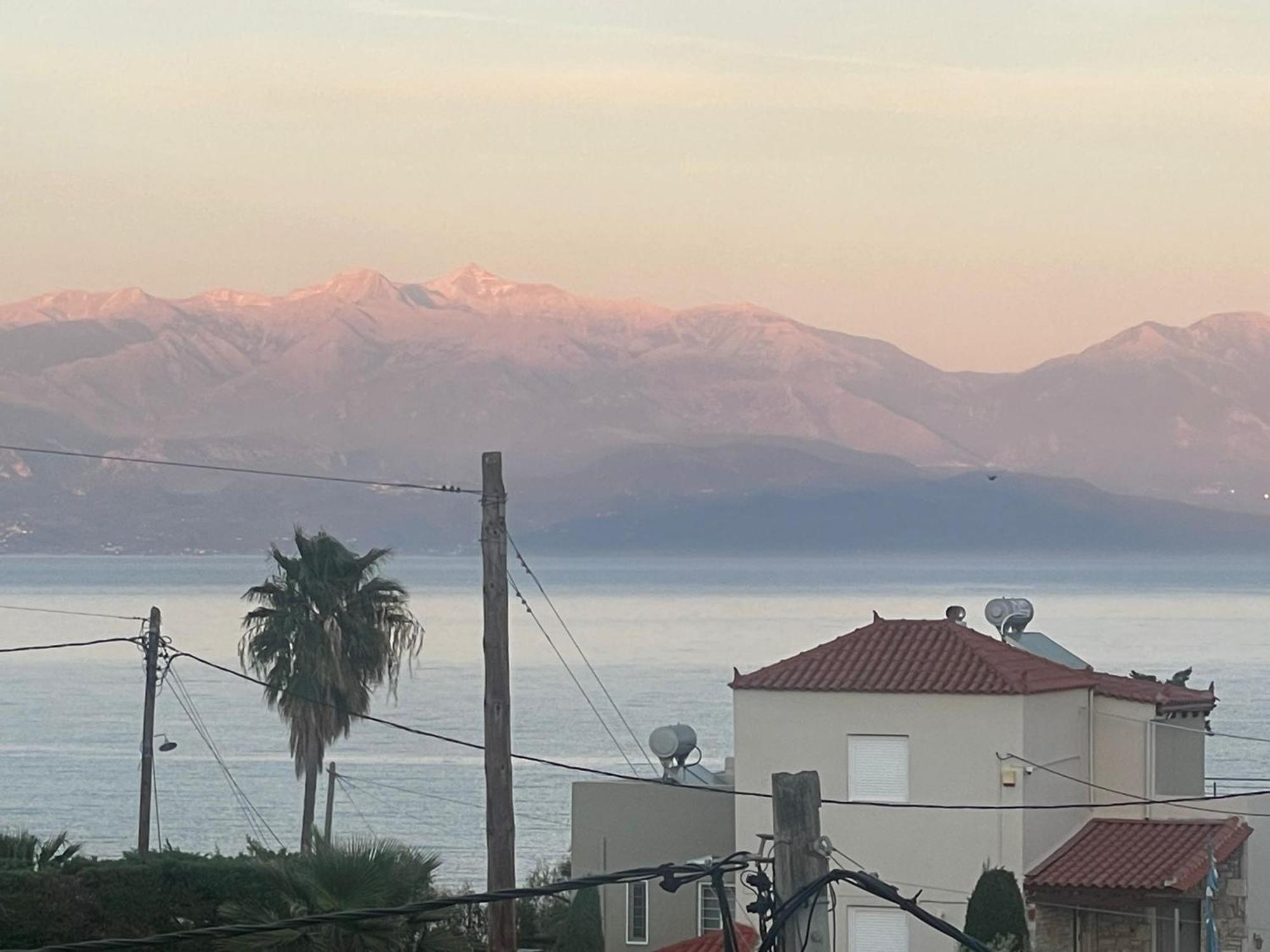 Villa Delfini 克拉尼 外观 照片